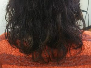 マレーアレナータカールが大のお気に入り♡
