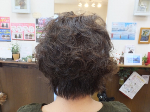マレーアレナータカールでふわっふわ