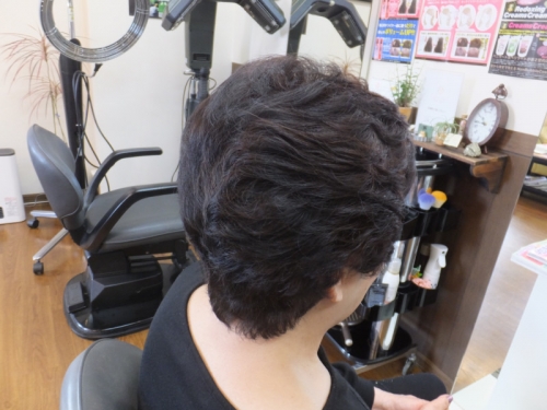 手櫛でとかすだけでOK!マレーアレナータカール♪